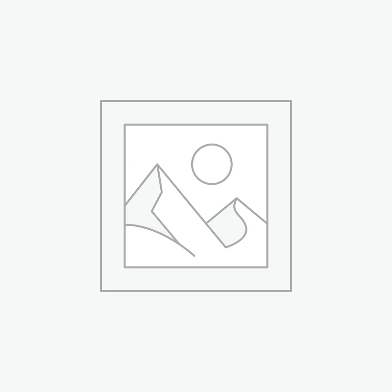 Bíblia da Pregadora Pentecostal RC S/ Índice Grande