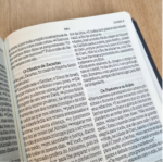 Bíblia NVI - Letra Gigante Preta - Imagem 2