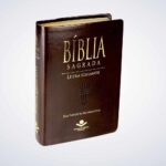 BÍBLIA NTLH L.GIGANTE-LUXO MARROM NOBRE