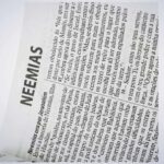 BÍBLIA NTLH L.GIGANTE-LUXO MARROM NOBRE - Imagem 3