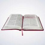 BÍBLIA EST DA MULHER SBB RC S/IND MEDIA VINHO - Imagem 5