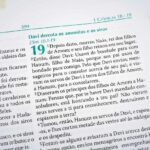 BÍBLIA EST DO PREGADOR RA S/IND MARROM/MARROM - Imagem 2