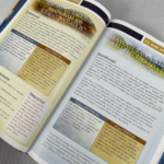 Livro Guia Ilustrado da Vida de Jesus - Imagem 2