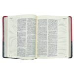Bíblia | Letra Normal | NVI | Espaço Anotações | Capa Vermelha e Cinza - Imagem 6