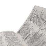 Bíblia NAA Letra Grande ED Econômica CP Preta Linha Ouro - Imagem 4