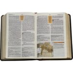 Bíblia De Estudo NAA Tamanho Média Capa Preta - Imagem 3