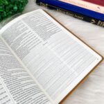 BÍBLIA KING JAMES 1611 SLIM ULTRAFINA AMPLIADA MOSTARDA - Imagem 5