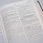 Bíblia de Estudo do Discípulo - Imagem 2