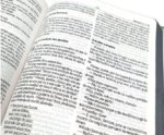 Bíblia Sagrada NAA Letra normal Capa Dura Coroa - Imagem 2
