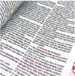 Bíblia de Estudo da Mulher Sábia - ARC | Arranjo Flores - Imagem 4