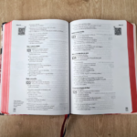 Bíblia NTH Letra Grande YouVersion The Lion Gelo - Imagem 2