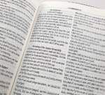 BIBLIA KING JAMES INGLES LUXO ESPECIAL LARANJA - Imagem 4