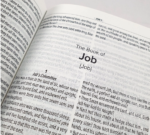 BIBLIA KING JAMES INGLES LUXO ESPECIAL LARANJA - Imagem 3