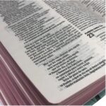 BIBLIA NAA CAPA DURA BUQUE TIFFANY - Imagem 4