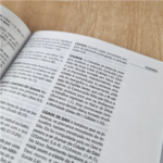 Bíblia NTH Letra Grande YouVersion The Lion Gelo - Imagem 4