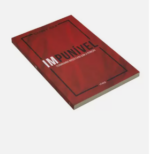 Livro Impunível | Danny Silk - Imagem 2