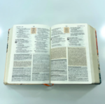 Bíblia de Estudo NAA Feminina - Imagem 3