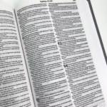 Nova Bíblia Viva Slim Capa Dura Leão Desenho - Imagem 3