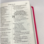 Bíblia Sagrada Letra Gigante - Sem Índice - Imagem 3