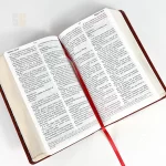 Bíblia Peshitta Luxo Marrom Brown - Imagem 3