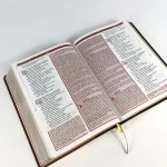 Bíblia de Estudo Esquematizada ARA Luxo Preto e Marrom - Imagem 2