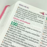 Bíblia De Estudo Da Mulher Sábia Com Harpa Magnólia Preta - Imagem 8