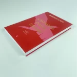 Livros Saradas para Sarar - Roberta Sara - Imagem 3