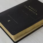 Bíblia de Estudo Thompson AEC Letra Grande Preta Luxo - Imagem 2