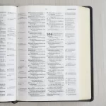 Bíblia de Estudo Thompson AEC Letra Grande Preta Luxo - Imagem 5