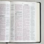 Bíblia de Estudo Thompson AEC Letra Grande Preta Luxo - Imagem 3