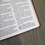 Bíblia Sagrada Leitura Perfeita ACF Marrom Flexível - Imagem 4