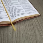 Bíblia Sagrada Leitura Perfeita ACF Marrom Flexível - Imagem 3