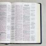 Bíblia Thompson de Estudo AEC Letra Grande Capa Luxo Azul - Imagem 3