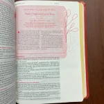 A Bíblia da Mulher que Ora | Edição Expandida | NVT | Vinho - Imagem 3