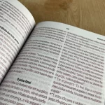 Bíblia Sagrada NVT Letra Grande Capa Luxo Duotone - Imagem 3