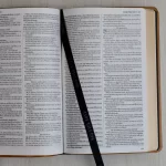 Bíblia King James Fiel 1611 Ultrafina Slim Capa Castanha - Imagem 3