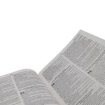 Bíblia Sagrada RC Capa Dura Azul Leão - Imagem 5