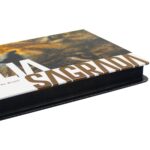 Biblia RA Media Capa Dura Ilustrada Leão - Imagem 3