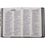 Biblia RA Media Capa Dura Ilustrada Leão - Imagem 4