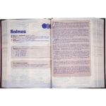 Bíblia Sagrada NTLH Capa Dura Extreme Teen Leão - Imagem 5