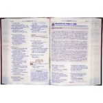 Bíblia Sagrada NTLH Capa Dura Extreme Teen Leão - Imagem 3