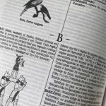 Biblia Sagrada Com Dicionário e Concordância / RC - Imagem 5