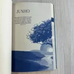 Devocional As Promessas de Deus 2025 | Carlito Paes - Imagem 4