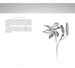 Livro Um Olhar Sobre Maria, Serva do Senhor | Valdir Steuernagel - Imagem 3