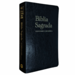 Biblia Sagrada Com Dicionário e Concordância / RC