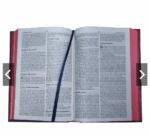 BIBLIA NAA THE SEND HERE AMI AMARELA - Imagem 4