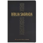 Bíblia NAA Letra Grande ED Econômica CP Preta Linha Ouro
