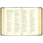 Bíblia C. S. Lewis NAA Couro-Soft Verde Leitura Perfeita - Imagem 2