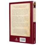 Livro Sra. Lewis/ Patti Callahan - Imagem 2