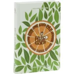 Bíblia Sagrada Fruto do Espírito